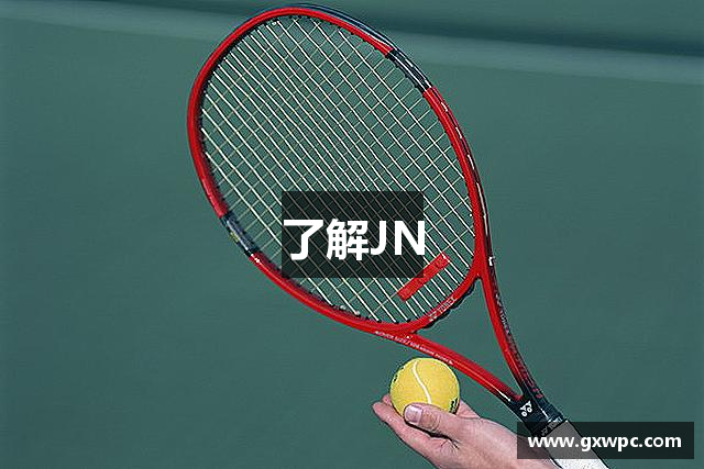 了解JN